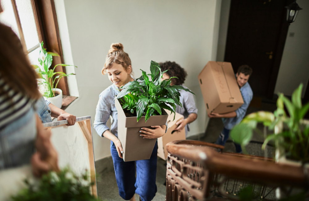 Multiple people walking upstairs with some carrying moving boxes and the others carrying plants. 